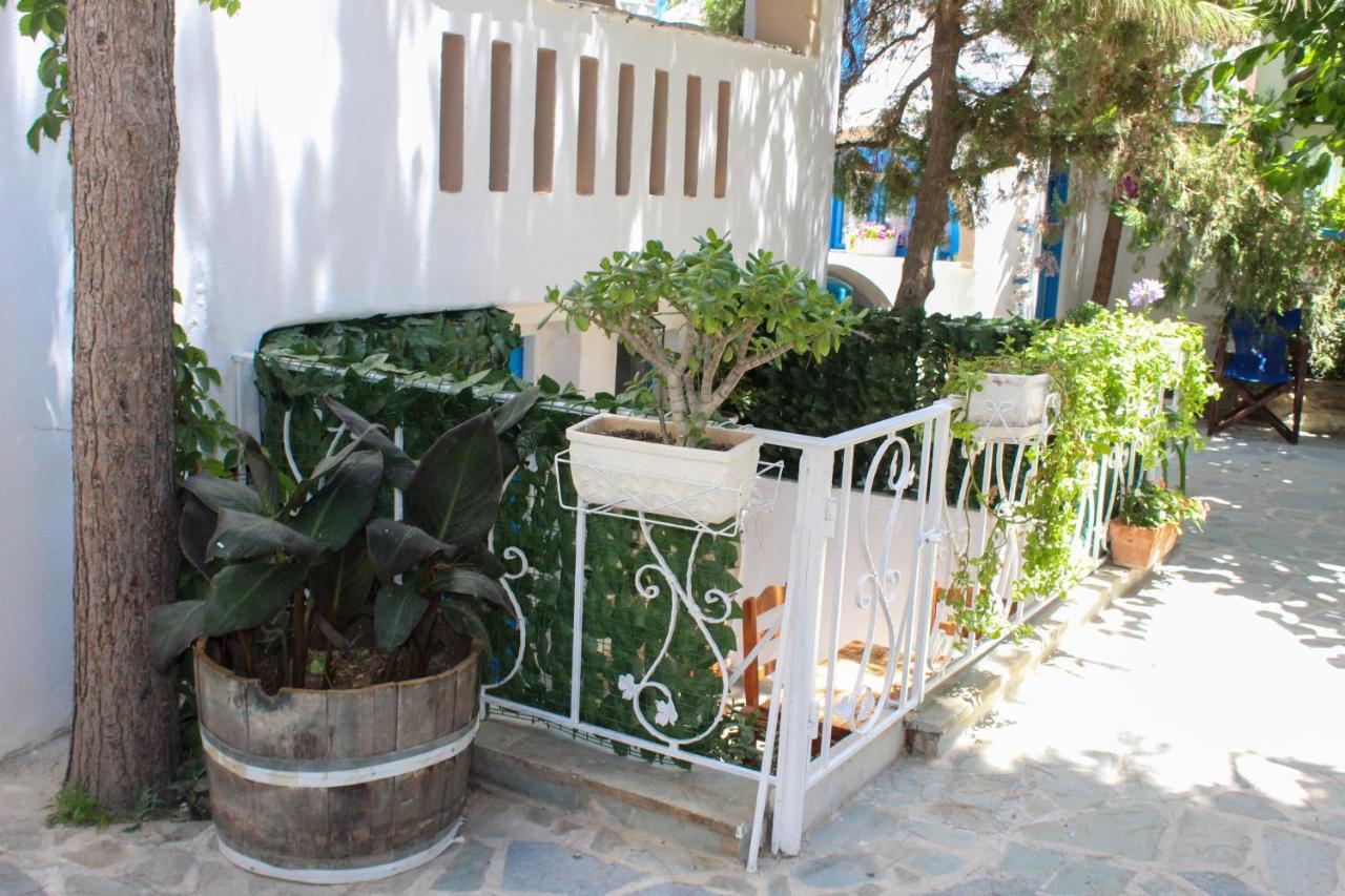 Sea View Apartments & Studios Αγία Άννα Εξωτερικό φωτογραφία