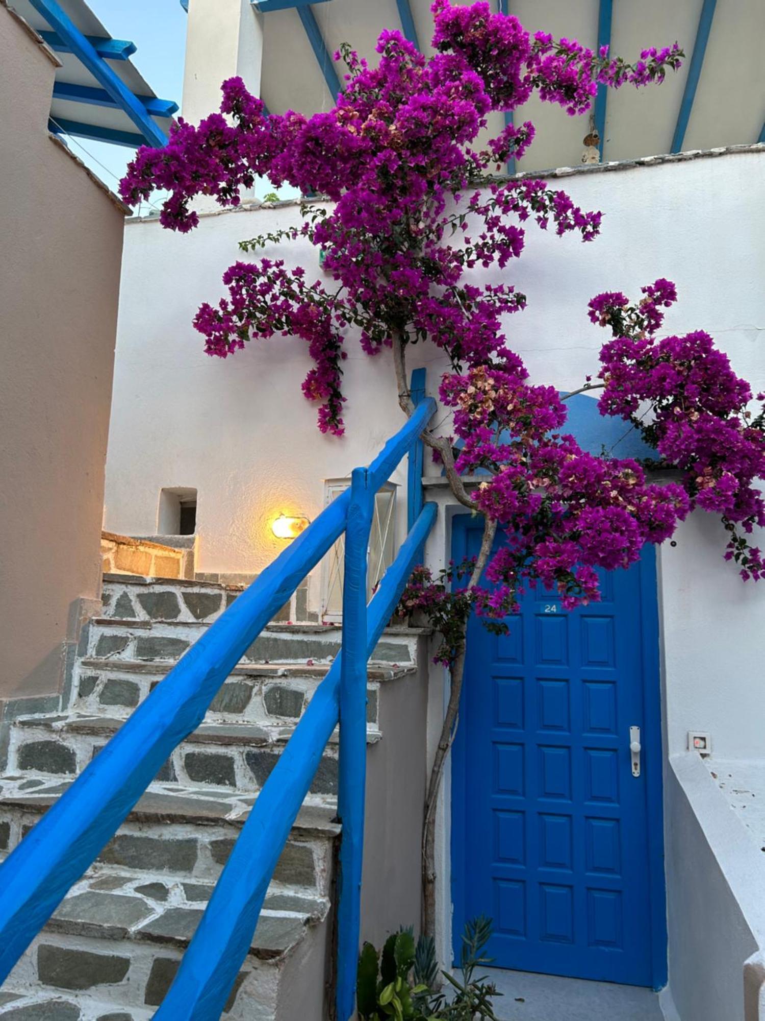 Sea View Apartments & Studios Αγία Άννα Εξωτερικό φωτογραφία
