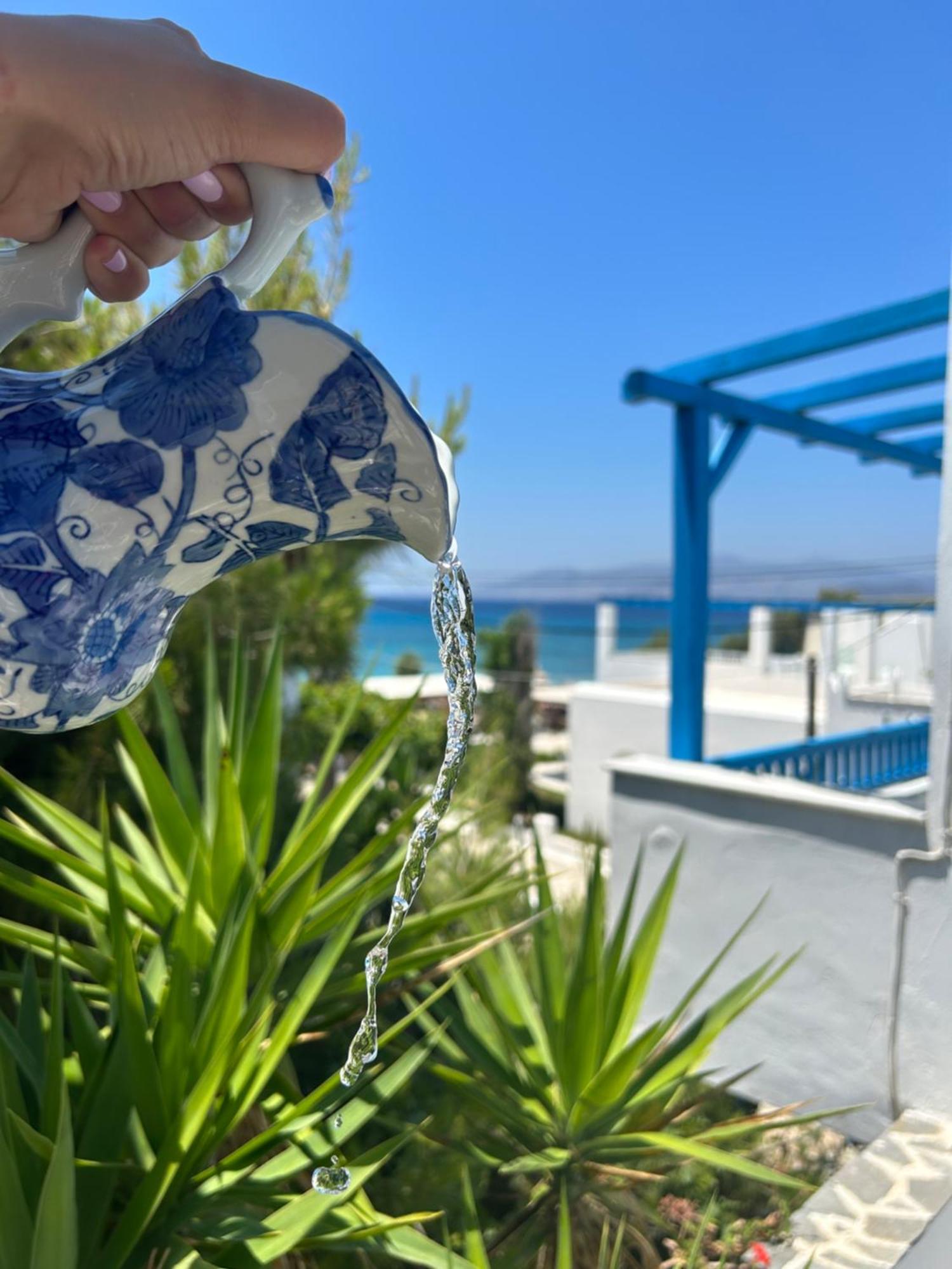 Sea View Apartments & Studios Αγία Άννα Δωμάτιο φωτογραφία