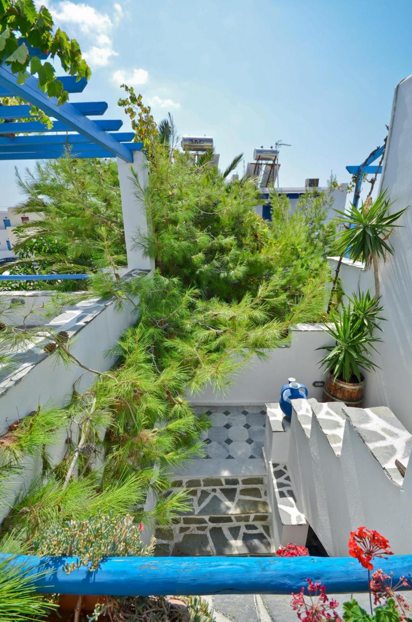 Sea View Apartments & Studios Αγία Άννα Εξωτερικό φωτογραφία